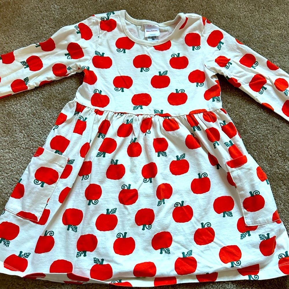 Hanna Andersson Fall Dress